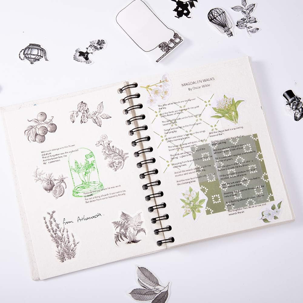 Transparent Printer Paper Adhesive Sticker Printer Rolls for  M02 M02S M02 Pro, 3-In-1 Set