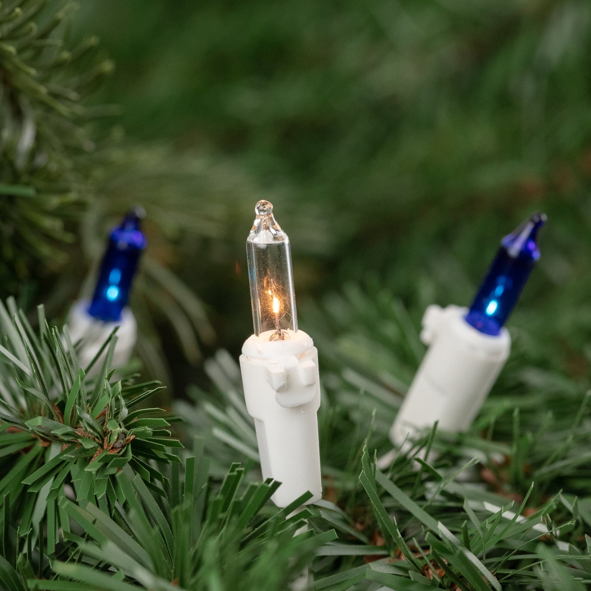 Mini Incandescent Christmas Lights - Blue and Clear - 10' White Wire - 50Ct