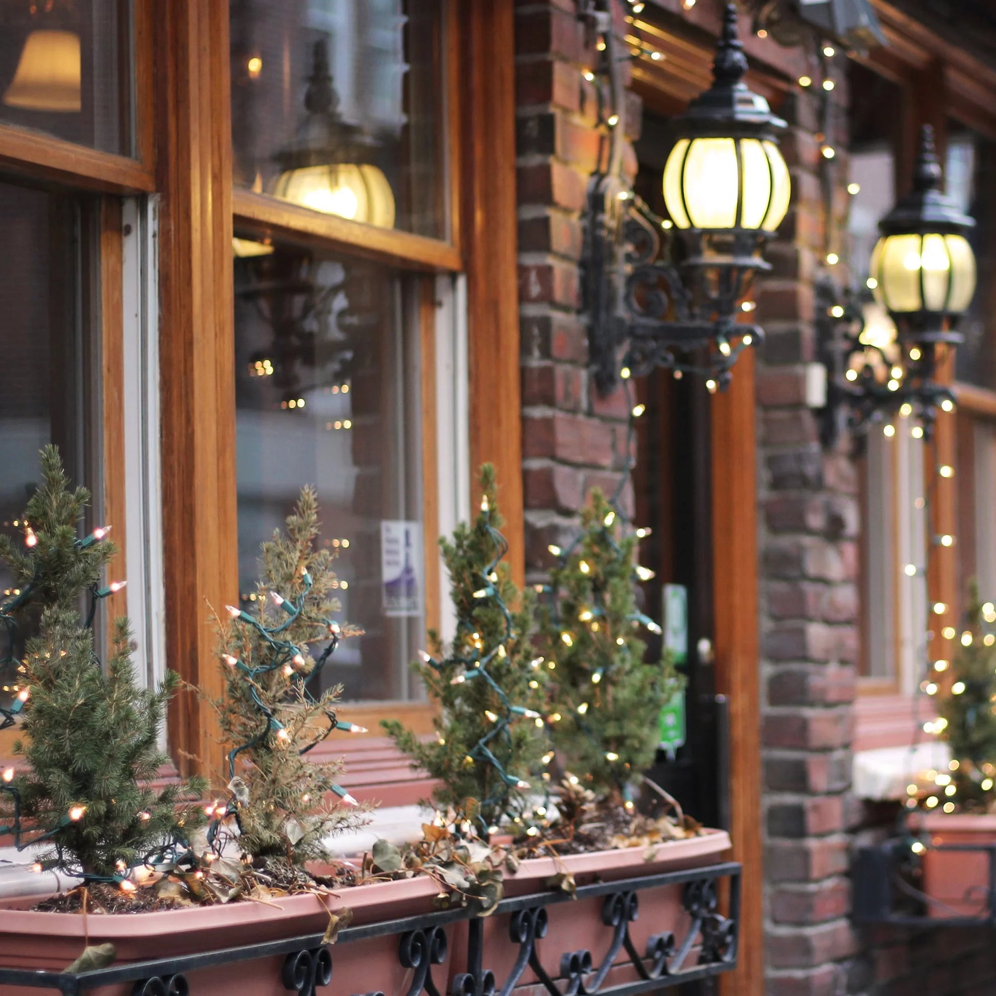 Incandescent Mini Christmas Lights - Clear - 10' Green Wire - 50Ct